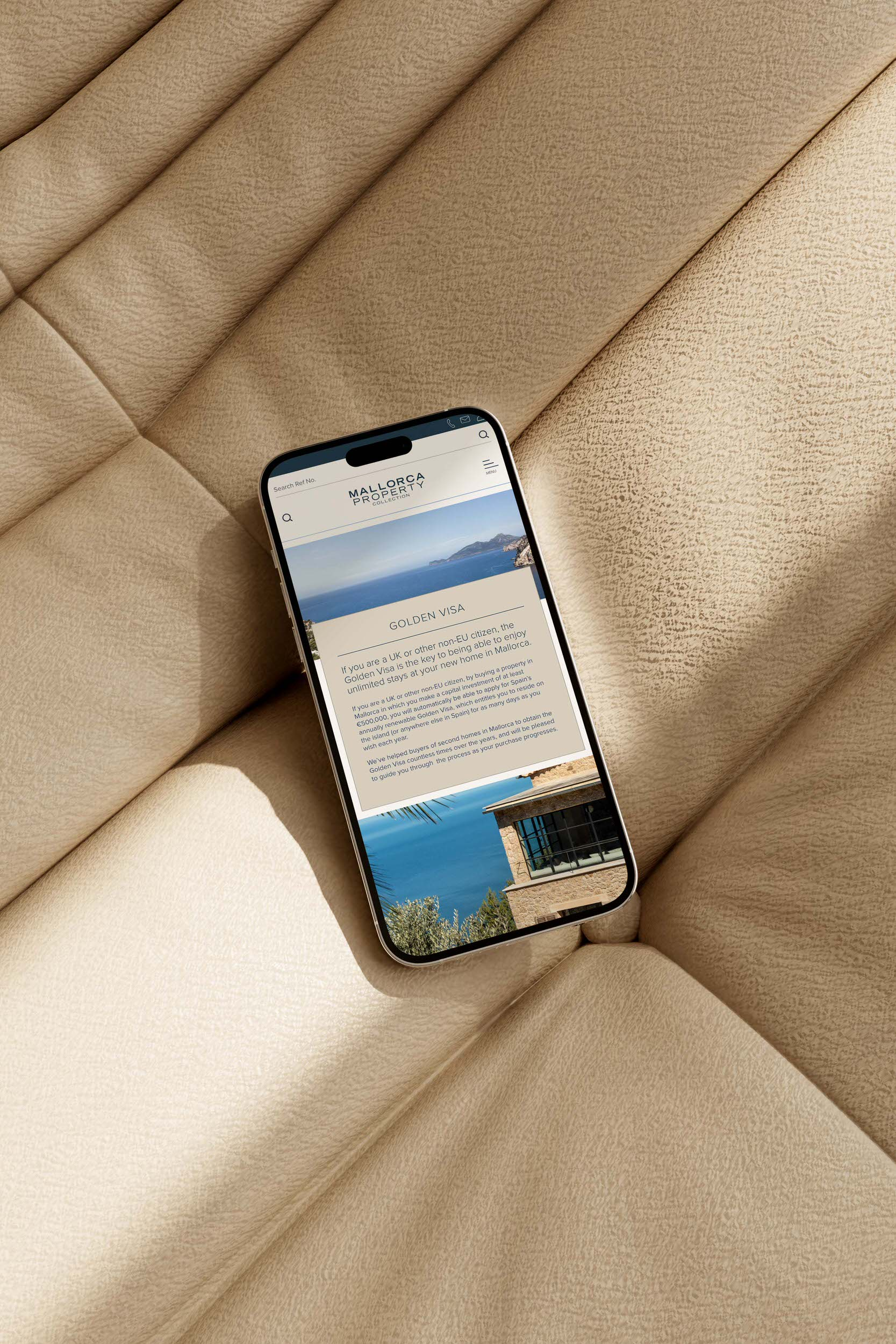 project gallery image