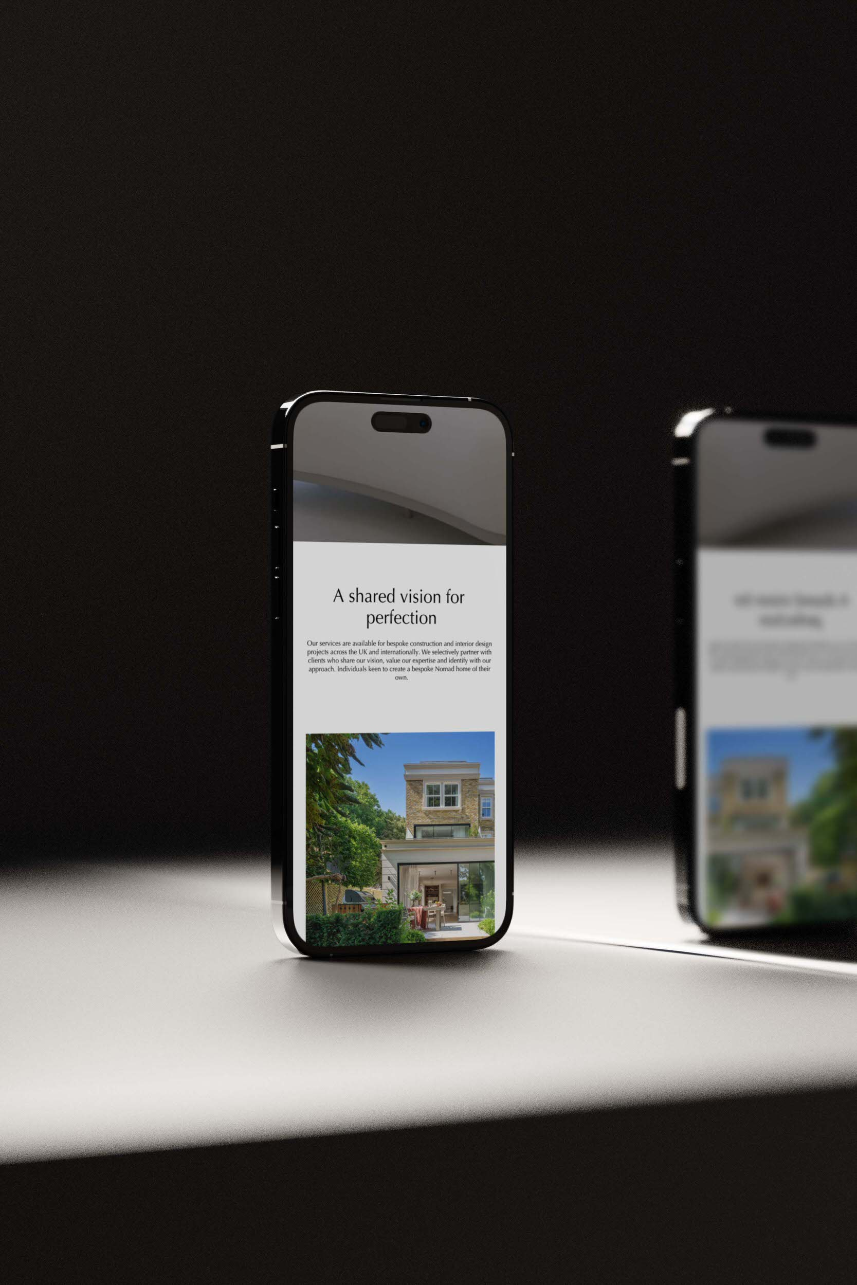 project gallery image