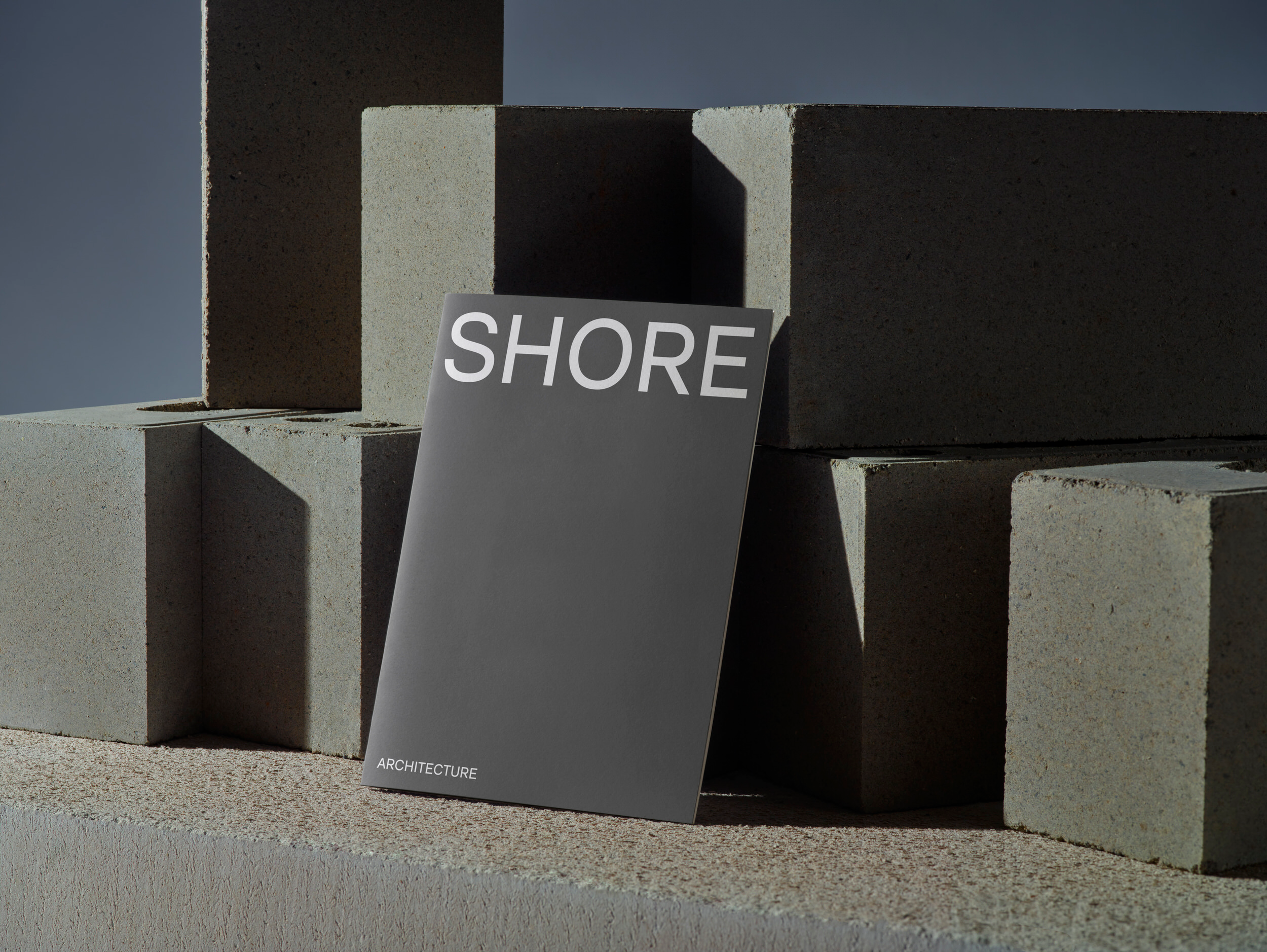 project gallery image